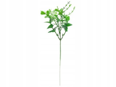 Gałązka bukszpanu 20cm Gałązka bukszpanu 20cm