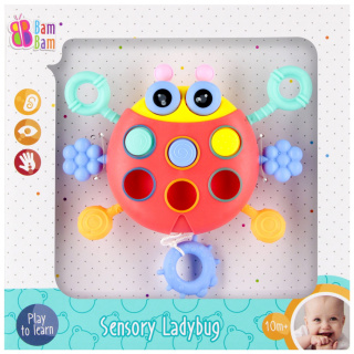 BAM BAM ZABAWKA SENSORYCZNA BIEDRONKA 20X20X5