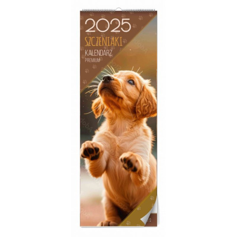 KALENDARZ ŚCIENNY SZCZENIAKI PREMIUM 2025 KALENDARZ ŚCIENNY SZCZENIAKI PREMIUM 2025