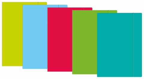 TECZKA Z GUMKĄ A3+ FLUO[10x50