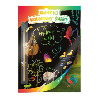 KOLOROWANKA ODKRYJ KOLOROWY ŚWIAT KALPOL-BIS