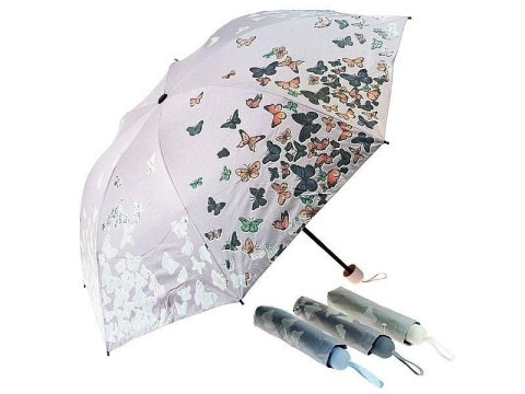 PARASOL; 12/72 PARASOL; 12/72