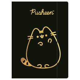 TECZKA Z GUMKĄ A4 300 g/m2 PUSHEEN GOLD mkmo TECZKA Z GUMKĄ A4 300 g/m2 PUSHEEN GOLD mkmo