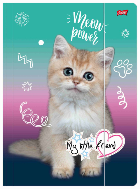 TECZKA Z GUMKĄ A4 300 g/m2 MY LITTLE FRIEND, KITTY TECZKA Z GUMKĄ A4 300 g/m2 MY LITTLE FRIEND, KITTY