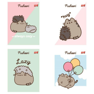 Zeszyt A5 32k krata laminowany PUSHEEN St.Majewski(15)
