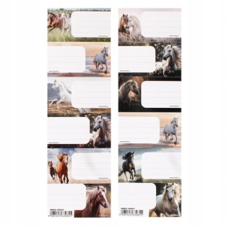 NAKLEJKI NA ZESZYT Horses STK PB (25)