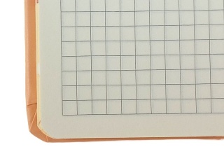 NOTES KAPIBARA A5 ADAR(12)
