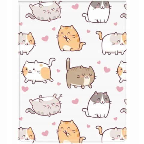 OKŁADKA NA DOKUM UCZNIA PION KITTENS B-FOL