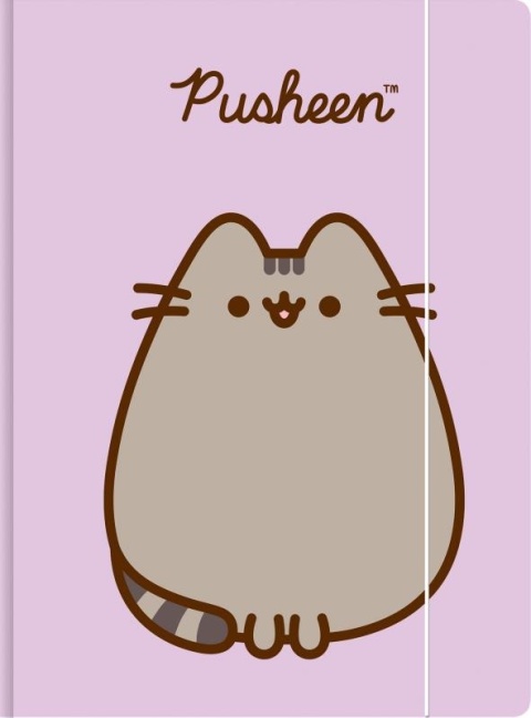 TECZKA Z GUMKĄ A4 300 g/m2(10) PUSHEEN St.Majewski TECZKA Z GUMKĄ A4 300 g/m2(10) PUSHEEN St.Majewski
