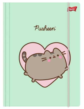 TECZKA Z GUMKĄ A4 300 g/m2(10) PUSHEEN St.Majewski