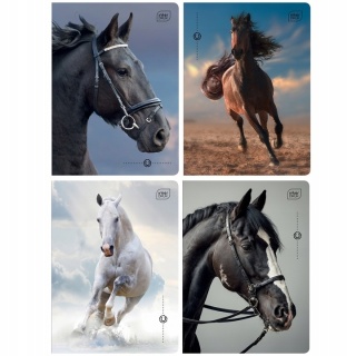 Zeszyt A5 32# M 70g UV Wild Horses