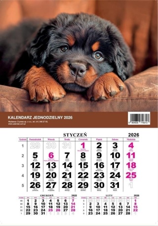KALENDARZ JEDNODZIELNY PIES 2026