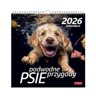 KALENDARZ ŚCIENNY 33x33 PSY W WODZIE 2026
