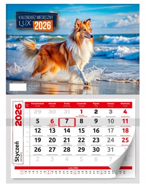 KALENDARZ ŚCIENNY MIESIĘCZNY LUX 2026