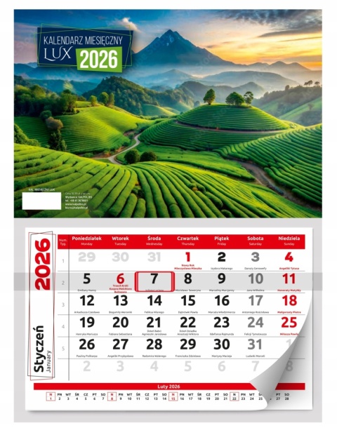 KALENDARZ ŚCIENNY MIESIĘCZNY LUX 2026