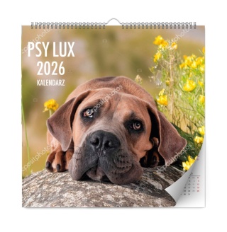 KALENDARZ ŚCIENNY PSY LUX 2026