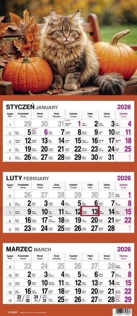 KALENDARZ TRÓJDZIELNY DUŻY 2026 KOT