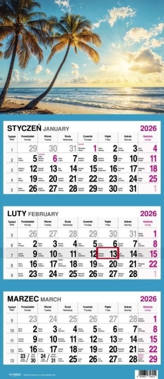 KALENDARZ TRÓJDZIELNY DUŻY 2026 PALMY