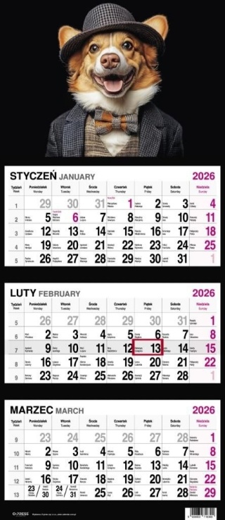 KALENDARZ TRÓJDZIELNY DUŻY 2026 PIES