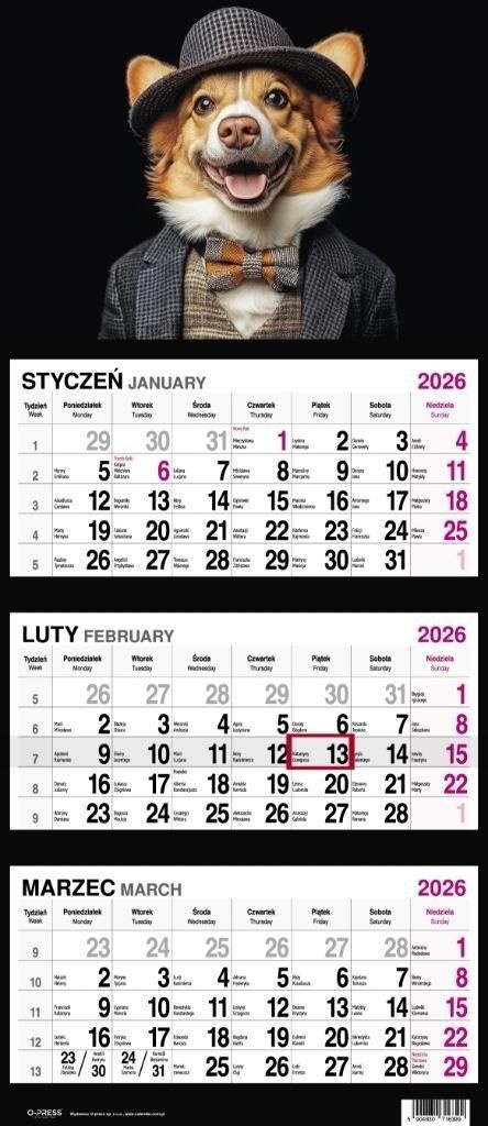 KALENDARZ TRÓJDZIELNY DUŻY 2026 PIES