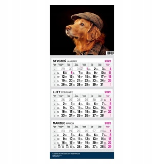 KALENDARZ TRÓJDZIELNY MAŁY 2026 PIES