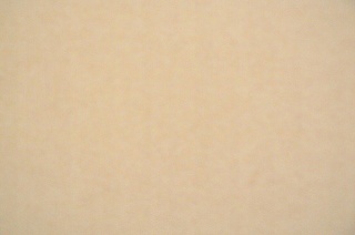 KARTON OZDOBNY A4 NATURE JASNY BEŻ (20) GALERIA