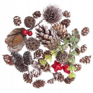 NATURALNE ELEMENTY SZYSZKI,GAŁĄZKI MIX, 50 G