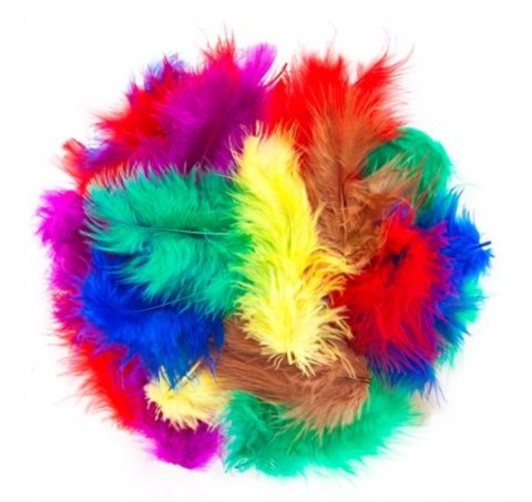 PIÓRKA 5-12 CM, 5 G BASIC MX KOLORÓW