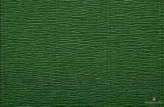 KREPINA WŁOSKA NR 591 250x50CM ZIELONA TRAWIASTA