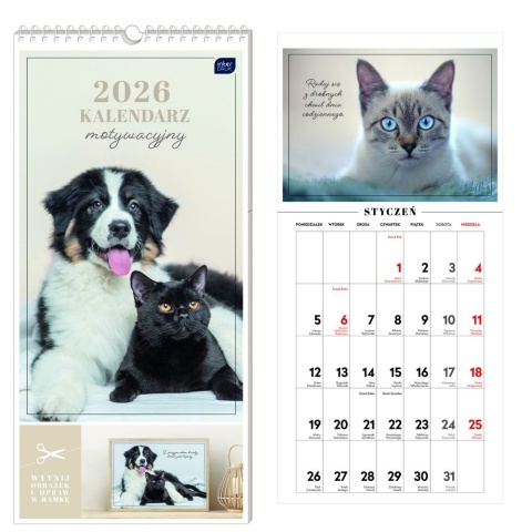 Kalendarz motywacyjny 22x46cm Zwierzaki 2026