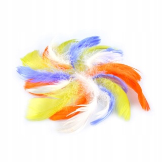 PIÓRKA DEKORACYJNE MEGA PAKA