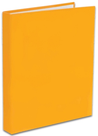 Penmate Segregator TT-30 A4/2 Kolor pomarańczowy