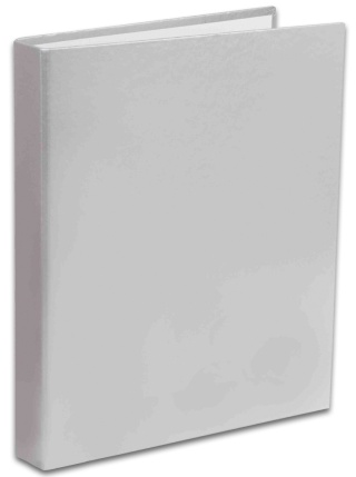 Penmate Segregator TT-30 A4/2 Kolor srebrny