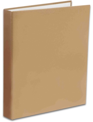 Penmate Segregator TT-30 A4/2 Kolor złoty