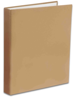 Penmate Segregator TT-30 A4/4 Kolor złoty