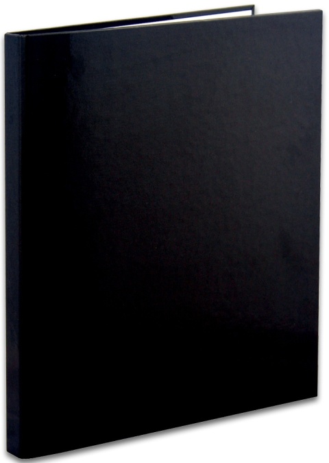 Penmate Segregator TT-40 A4/2 wąski 2cm Kolor czar