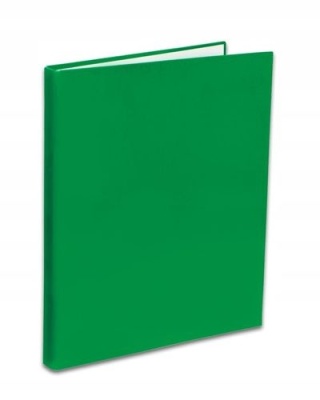 Penmate Segregator TT-40 A4/2 wąski 2cm Kolor ziel