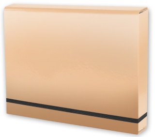 Penmate Teczka A4 Lux na gumkę Kolor beż cielisty