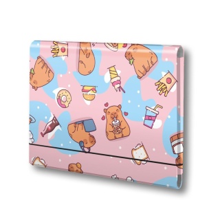 Penmate Teczka łamana A4 na gumkę T0121 Kapibara F