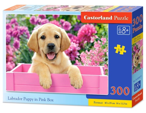 Puzzle 300 el. Labrador Puppy in Pink