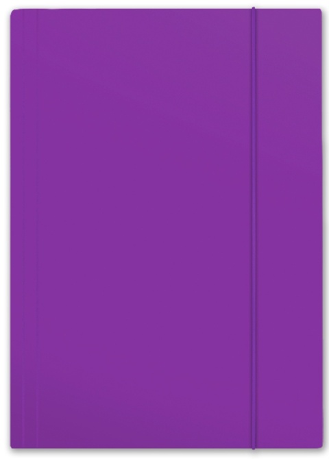 TECZKA Z GUMKĄ A4 PLUS TOP 600G FIOLETOWA