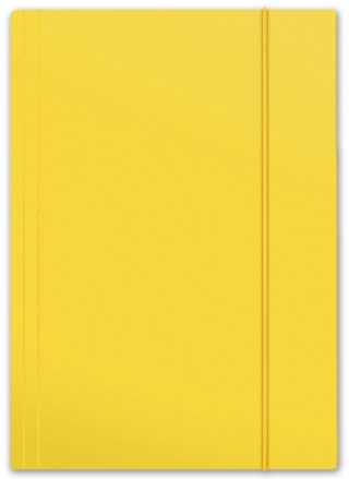 TECZKA Z GUMKĄ A4 PLUS TOP 600G ŻÓŁTA