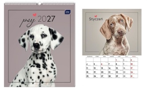 Kalendarz ścienny 2027 planszowy PSY 33,5x40