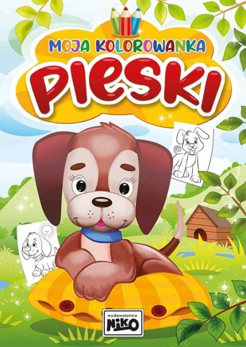 Moja kolorowanka - PIESKI Moja kolorowanka - PIESKI
