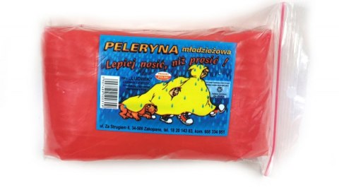 PELERYNA MŁODZIEŻOWA LUDWIK