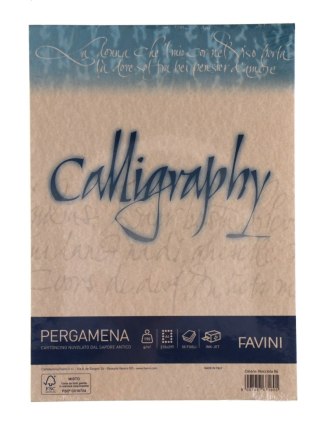 ! PAPIER WIZYTÓWKOWY/KALIGRAF.A4/50 190G NOCCIOLA