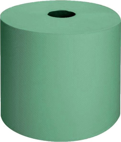 CZYŚCIWO 1W STANDARD C300/1 ZIEL.(2 CZYŚCIWO 1W STANDARD C300/1 ZIEL.(2