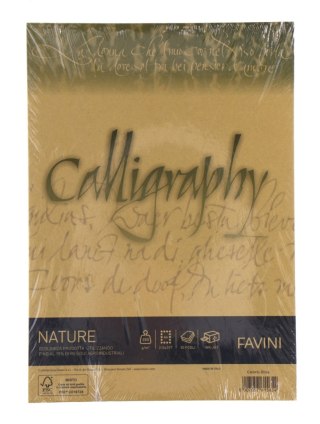 ! PAPIER WIZYTÓWKOWY/KALIGRAF.A4/50 250G OLIVA