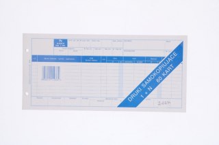 DOWÓD PZ 2/3 A4 10 POZYCJI M-18