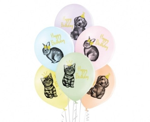 Balony D11 Birthday Pets 2C2S Balony D11 Birthday Pets 2C2S